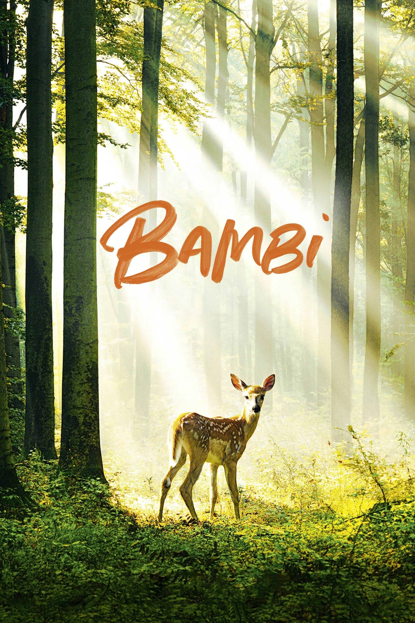 Anime Title Poster